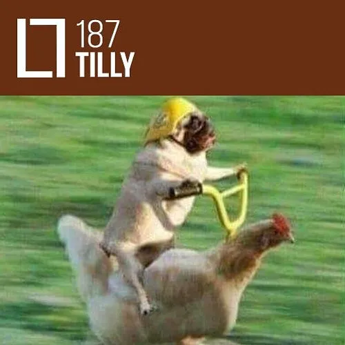 187 - Tilly