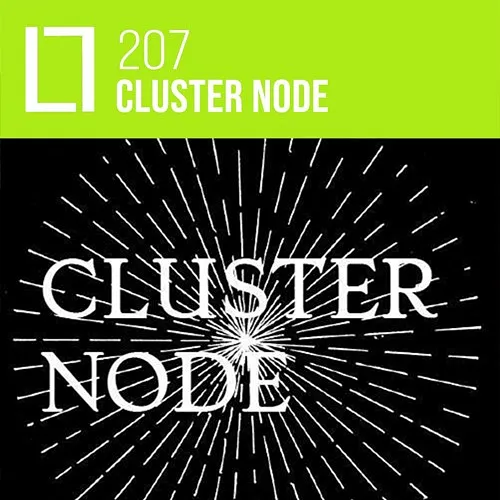 207 - Cluster Node