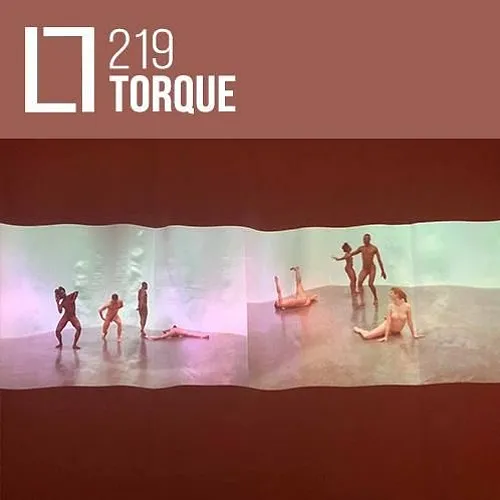 219 - Torque