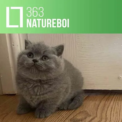 363 - natureboi