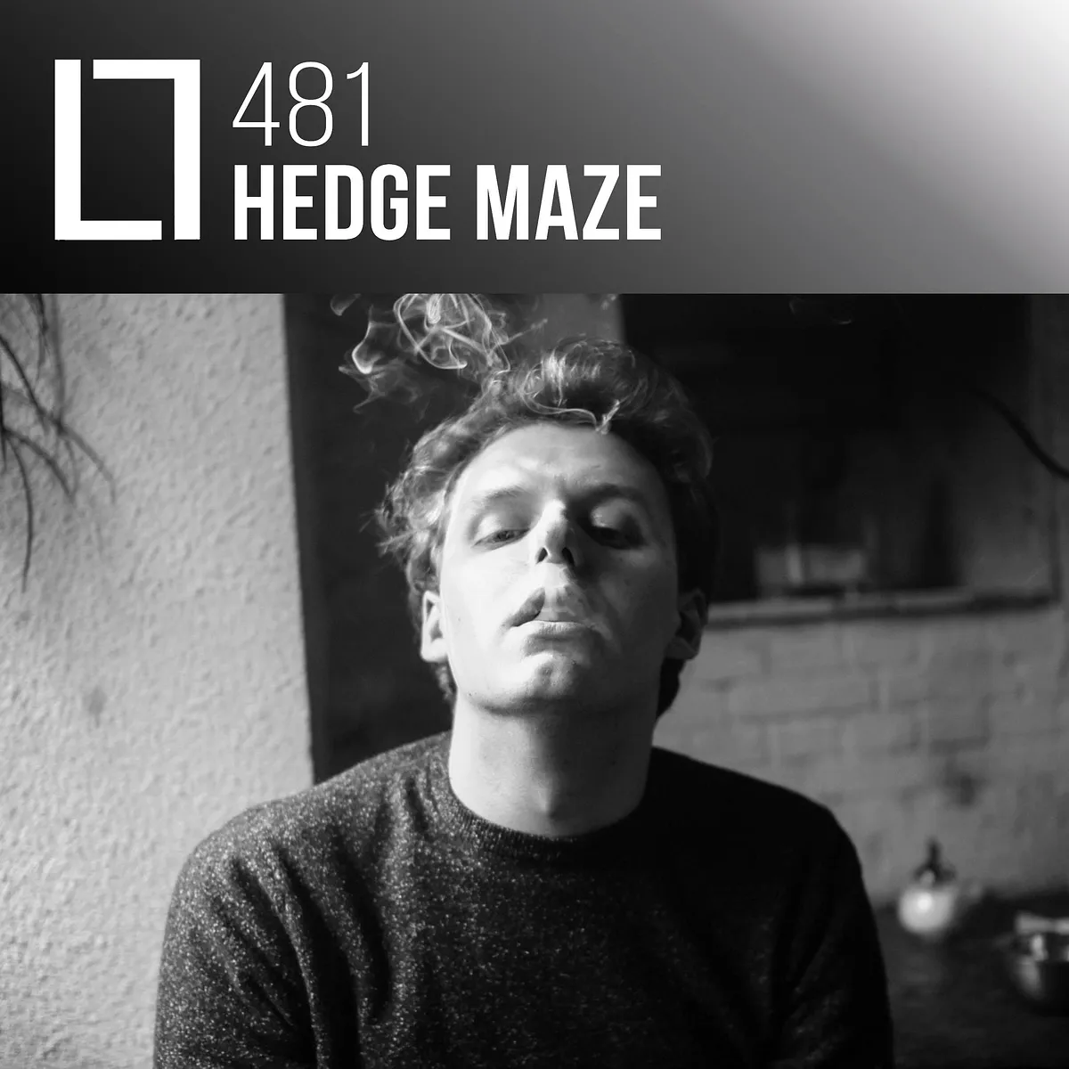 481 - Hedge Maze